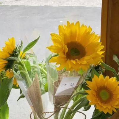 im电竞官方网站